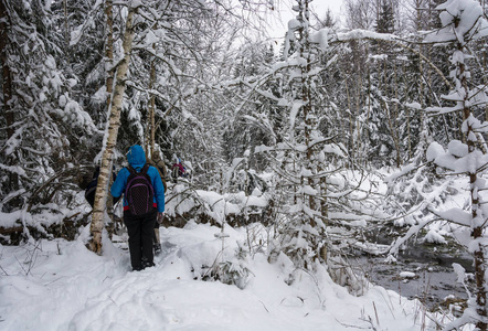 一群游客在白雪皑皑的树林中漫步