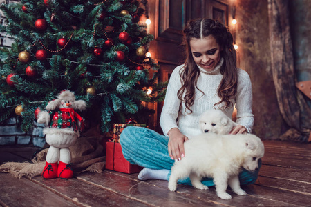美丽的女人与可爱的小狗坐在圣诞树附近。新年