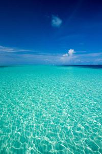 马尔代夫热带海滩，棕榈树很少，蓝色泻湖