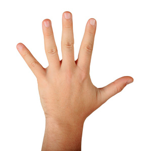 男性手用五根手指