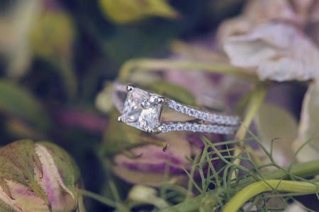 钻石婚礼订婚戒指自然浪漫背景图片