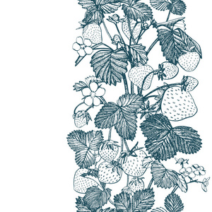 草莓无缝花纹。在白色背景上的独立手绘插图。有机健康食品