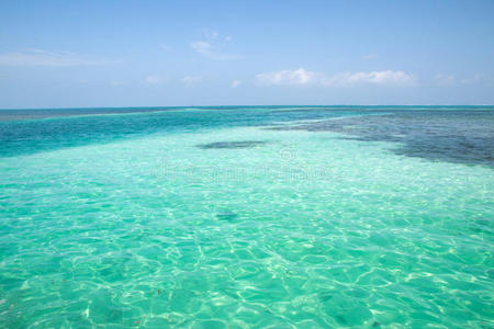 伯利兹caye caulker