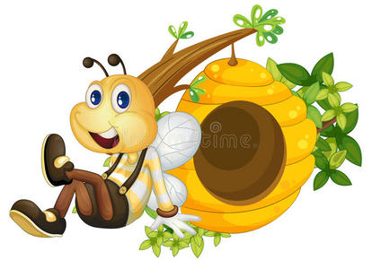 坐在蜂巢旁的蜜蜂