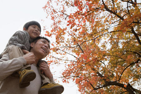 小男孩坐在他父亲的肩膀上，在秋天穿过公园