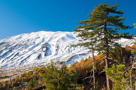 埃特纳火山景观