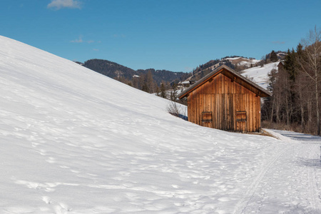 冬日里树木间的小木屋在山上的雪, 冬天的风景