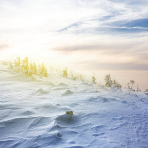冬山日落景象图片