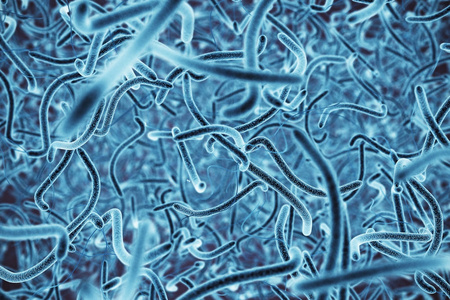 蓝色细菌壁纸