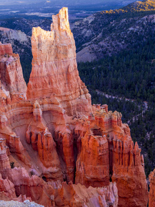 犹他州布莱斯峡谷国家公园的红色悬崖