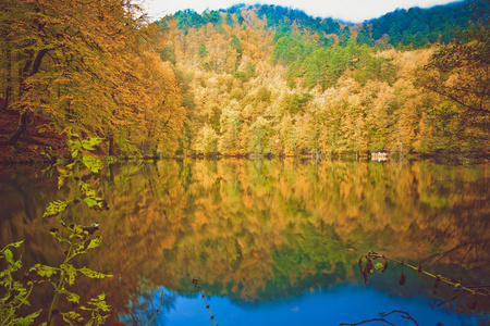 柔和的秋天景观，干燥的树木，金色的天空，树，反映在湖的季节，改变晴天，秋天的公园，秋天的自然。