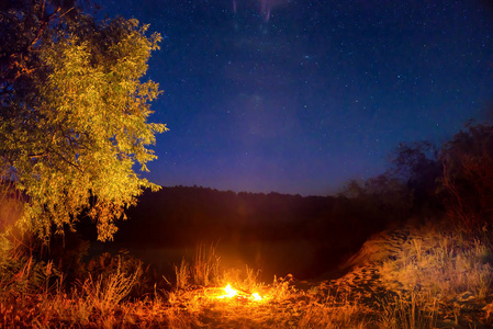 夜空下的森林里有星星的火