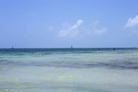 下午在热带的海洋海岸。在战争中度假