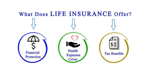 人寿保险提供什么图片