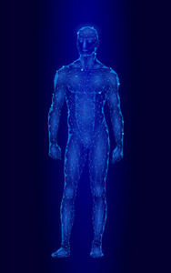 强壮健康人体站立3d 模型低聚设计。Android 机器人人形最佳完美男子健身运动形状。多边形几何点线粒子蓝辉光矢量图示