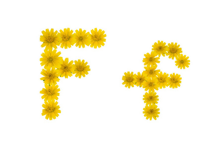 字母f字母表，由白色背景的黄色楔形花制成