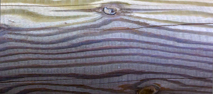 浅棕色墙壁的纹理与深色对比条作为抽象的纹理背景。 木质橡木枫