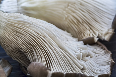 未煮熟的蘑菇的宏观镜头