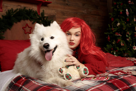 冬天狗假日和圣诞节。一个穿着针织毛衣的女孩, 在工作室里有一只带宠物的红头发。圣诞节妇女与美丽的面孔和宠物
