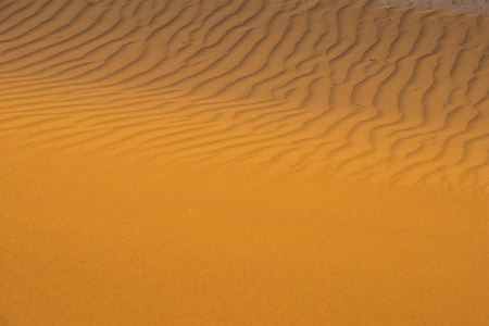 s largest desert