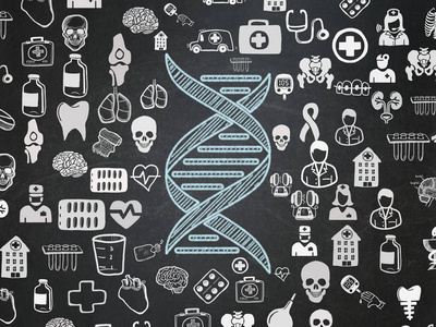 健康理念 学校董事会背景下的 Dna