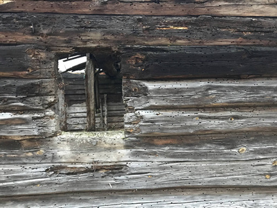 一座废弃的老圆木房子, 墙上有时间的痕迹。窗户被剪掉了。在裂缝中的原木, 被树皮甲虫腐蚀, 潮湿的痕迹
