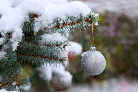 圣诞球悬挂在冷杉树枝上。圣诞背景