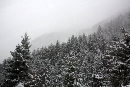 冬天阿尔卑斯山的雪