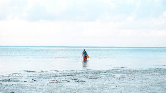 下午在热带的海洋海岸。在战争中度假