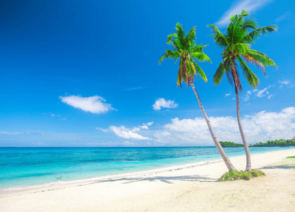 浪漫的豪华海滩与棕榈树