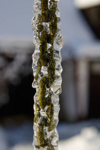 冬天冰上的链子图片