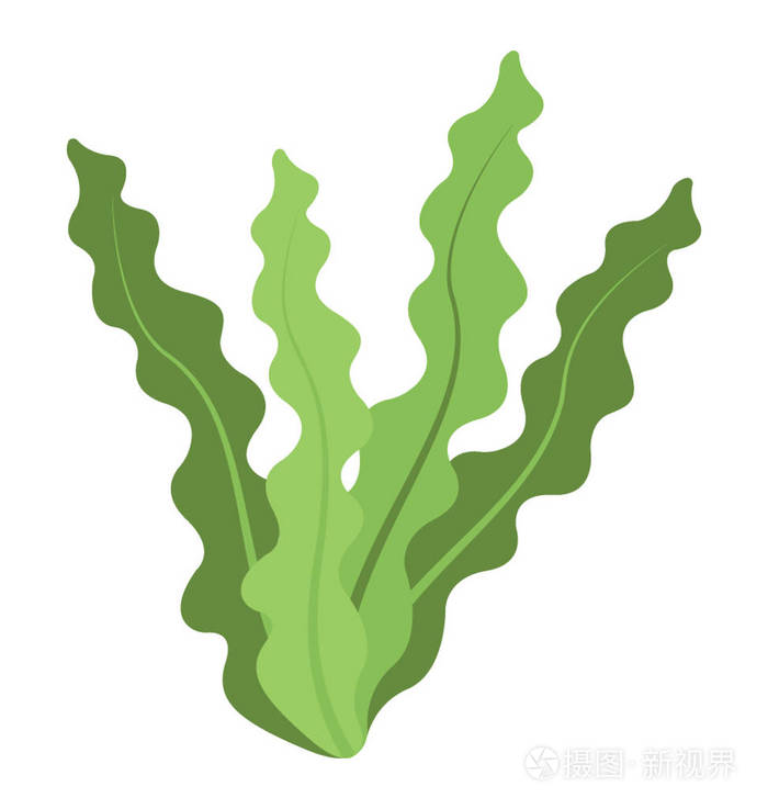 一种海草平面矢量图标