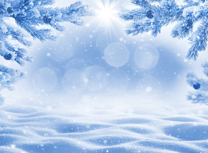 冬季背景与雪花为贺卡。 圣诞景观与雪柳和松枝在霜冻。