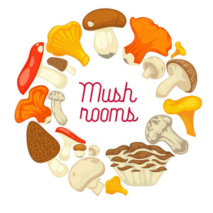 蘑菇食用蘑菇海报。 香菜和牛肝菌或森林香菜和龙虾蘑菇，异国情调的肉饼或松茸，香菇和茹苏拉或美味的松露