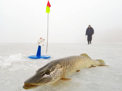 冰冬季的捕鱼