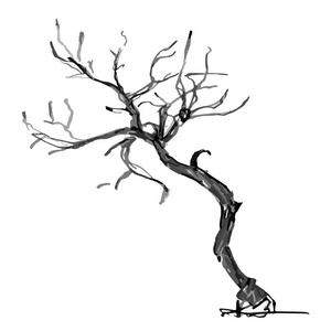手绘黑树在白色背景下被隔离。小植物的分支在媒介例证。简单的灰色剪影