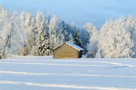 拉普兰冬季乡间的木棚