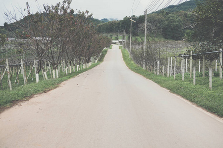 农村沥青路到山。农村道路与 tr