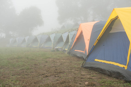 雾雾中的旅游帐篷。在森林里露营。旅游度假