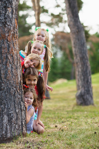 快乐的小孩子们在夏天的公园里玩耍时，站在他们的身后看着外面的树