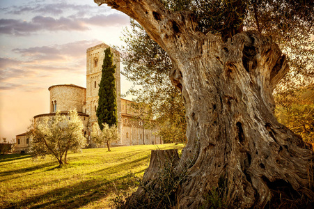 Antimo is a monastic complex in Olivetano located near Castelnuo