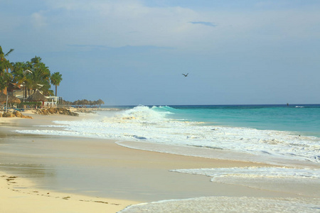阿鲁巴岛美丽的白沙滩。青绿色海水和蓝天..漂亮的背景