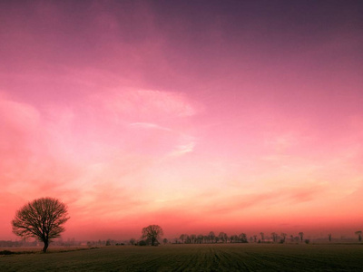 乡村风景中的魔幻粉色日落