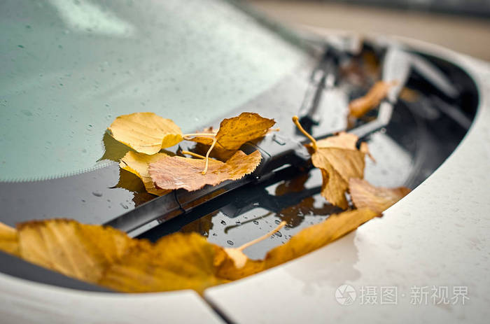 季节和运输概念汽车雨刷与秋天枫叶黄色叶子在挡风玻璃在汽车