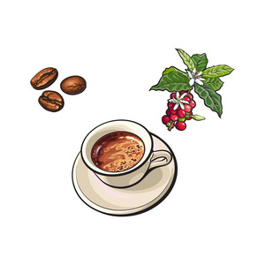 矢量豆, 咖啡杯, 咖啡树枝