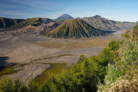 景观的溴 督和莫火山山，东 Jav