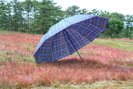 在寒冷的高地上，草山上的伞作为温暖而温暖的冬天的亮点