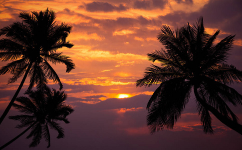 日落热带海滩与剪影棕榈树