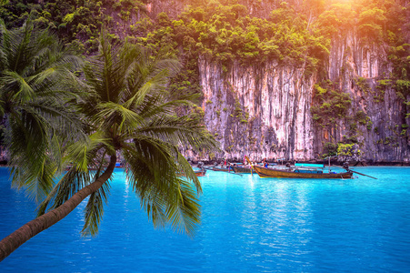 泰国甲米皮皮岛热带海滩和长舟棕榈树