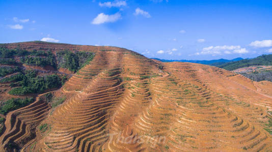 大山被切开做地板种植棕榈树